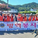 라이온스 이미지