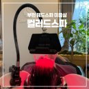 역곡하이뷰 | 부천 역곡 미용실 컬러드스파 두피 헤드스파 후기
