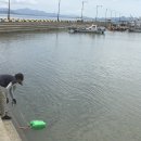 보성 율포해수욕장 옆에서,,,,,,,,,,,,,, 이미지