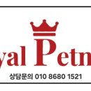 놀다올개 이미지