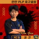 PLP(피엘피) 네이버블로그