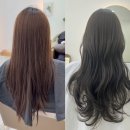 다비헤어룸 | 대구 수성구 범어동 미용실 다비헤어룸 | 올리브 브라운 톤다운 염색 후기