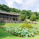 한국커피문화진흥원
