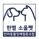 한별여행 이미지