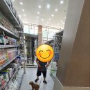 펫츠아일랜드 이미지