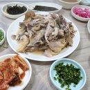 송호민박 이미지