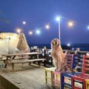 풀하우스펜션 이미지