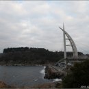 제주 서귀포층 패류화석 산지 이미지