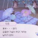 루키버드 이미지