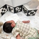 서하체육공원 이미지