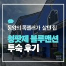 남성맨션 | 록펠러가 지은 집에서의 하룻밤? 청팟제 블루맨션 후기 ㅣCheong Fatt Tze - The Blue Mansion ㅣ 페낭...