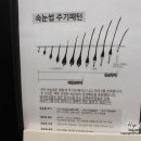 더끌림샵 이미지