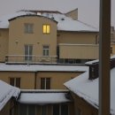 코코민박 이미지