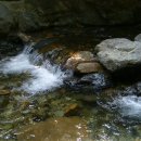 개나리온천 이미지