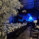 강서푸른터 | 보타닉파크 웨딩홀ㅣ26.3.14 따끈따근 홀투어 상담[계약x/견적.식대.인테리어]