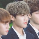 참우진 이미지