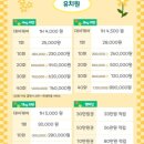 마조르댕 이미지