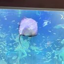 [공지] [대전 데이트 놀거리] 신세계 백화점 Art &amp; Science 엑스포 아쿠아리움 후기