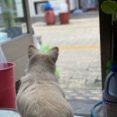 팡팡꽃화원