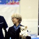 히든밸리켄넬 이미지