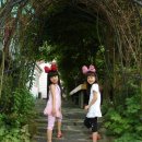 약수고을 이미지