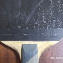 슈미아빠의 xuperman powerplay-x 슈신특주 사용기 이미지