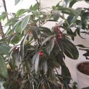 서구장애인자립생활센터 이미지