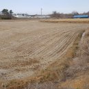 사랑공인중개사사무소 이미지