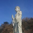 보물농장 이미지