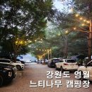 계곡과느티나무 캠핑장 | 영월 느티나무캠핑장 아이와 갈만한 곳 계곡 명당 내돈내산 솔직후기 | 이벤트 총정리