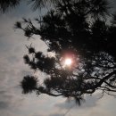 201207 제주라이딩4 - 모슬포, 숙소인 중문까지, 이튿날 다시 표선을 향하여~~~ 이미지