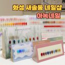 화성 새솔동 네일샵 아녹네일