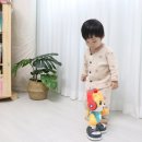 오 마이 캣 이미지