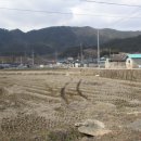 율천공원 이미지