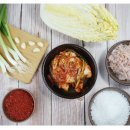 고향맛김치 네이버블로그