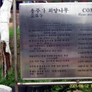용주사 사찰