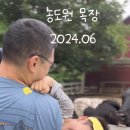 음매목장 이미지