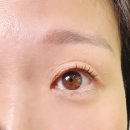 유안 네일 | 대구 현풍 테크노폴리스 유안뷰티! 짧고 숱 없는 속눈썹 펌 후기!