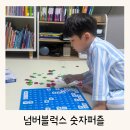 숫자놀이 주산셈 | 넘버블럭스 장난감 120 수배열판 숫자퍼즐을 활용한 4살 수세기 공부방법