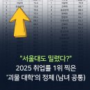 "서울대도 밀렸다?" 2025 취업률 1위 찍은 '괴물 대학'의 정체 (남녀 공통)