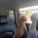 어서타개 이미지