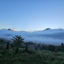 정말농장 이미지