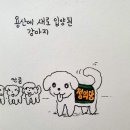 [만평] 용산에 새로 입양된 강아지 (feat.박재동 화백) 이미지