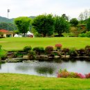 올데이 로얄포레 이미지