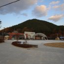 버섯랜드 이미지