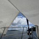 디디아이 이미지