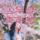 ♥트와이스 채영 누나의 20번째 생일을 축하드립니다♥ 이미지