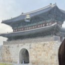 행동돼장