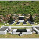 고향개장집 이미지