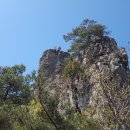 여우와늑대 이미지